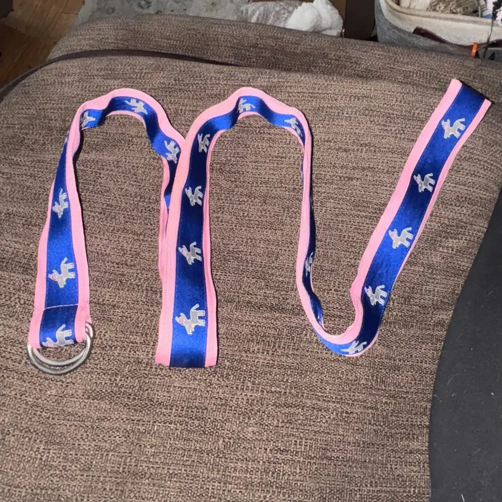 Ribbon Belt D Ring Blue Pink Democratic Donkeys Preppy Size Large Canvas